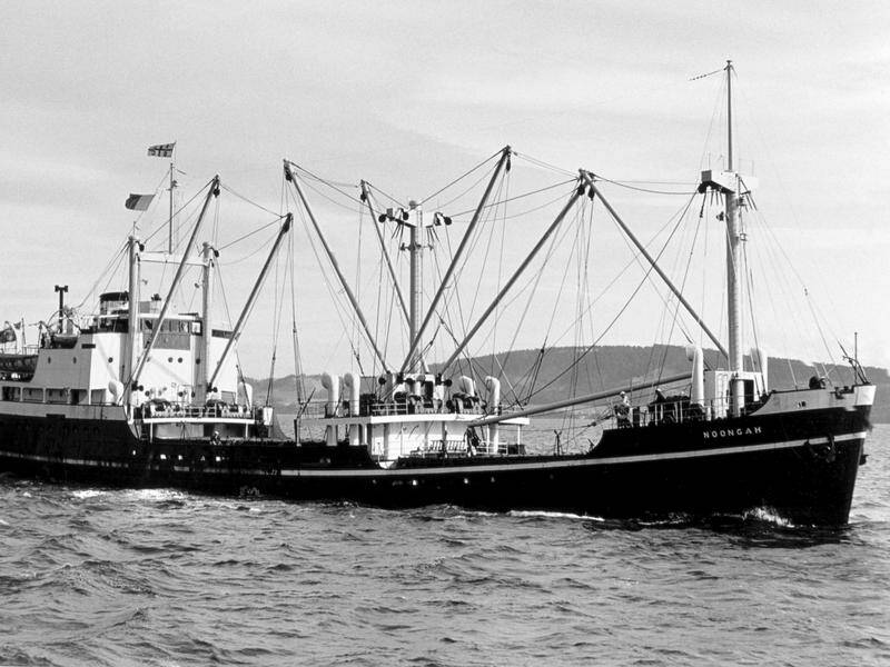 MV Noongah sank in heavy seas off the NSW coast while carrying steel from Newcastle in August 1969. Photo: HANDOUT/AUSTRALIAN NATIONAL MARITIME MUSEUM