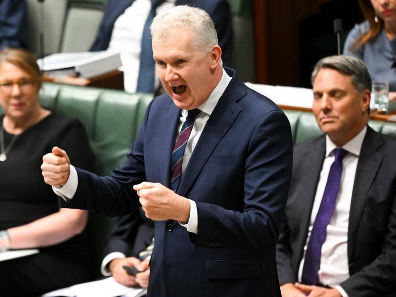 Tony Burke is stunned BHP has reacted to workplace relations legislation before it is written. (Lukas Coch/AAP PHOTOS)