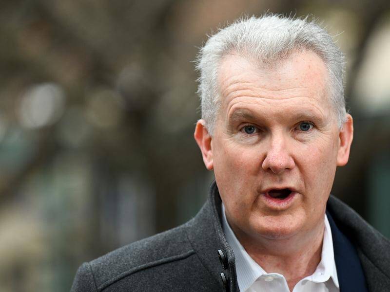 Minister Tony Burke says new laws are to stop agreed wage rates being undercut by labour hires. (Lukas Coch/AAP PHOTOS)