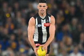 Scott Pendlebury will play his 400th game on Saturday and will go around again in 2025. Photo: Morgan Hancock/AAP PHOTOS
