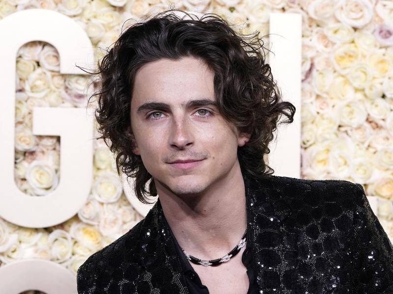 Timothee Chalamet is known to be a huge fan of late table tennis player Josh Safdie. (AP PHOTO)