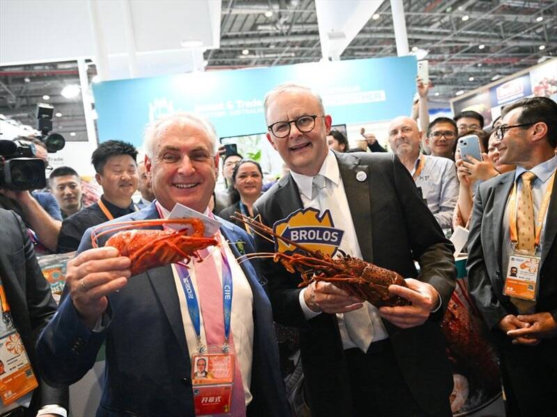 Trade Minister Don Farrell (left) hopes China will soon be taking Australian rock lobsters again. (Lukas Coch/AAP PHOTOS)