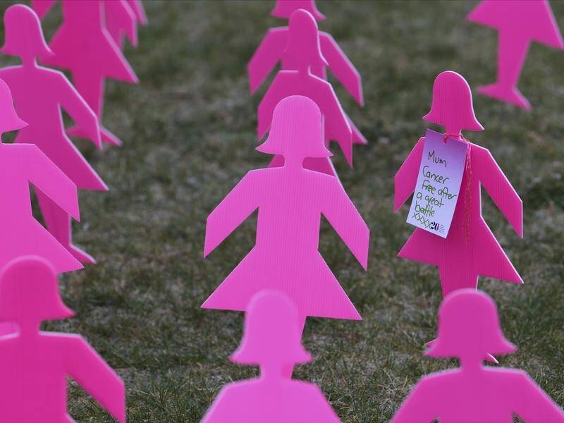 More than 20,000 women are expected to be diagnosed with breast cancer this year. (Lukas Coch/AAP PHOTOS)