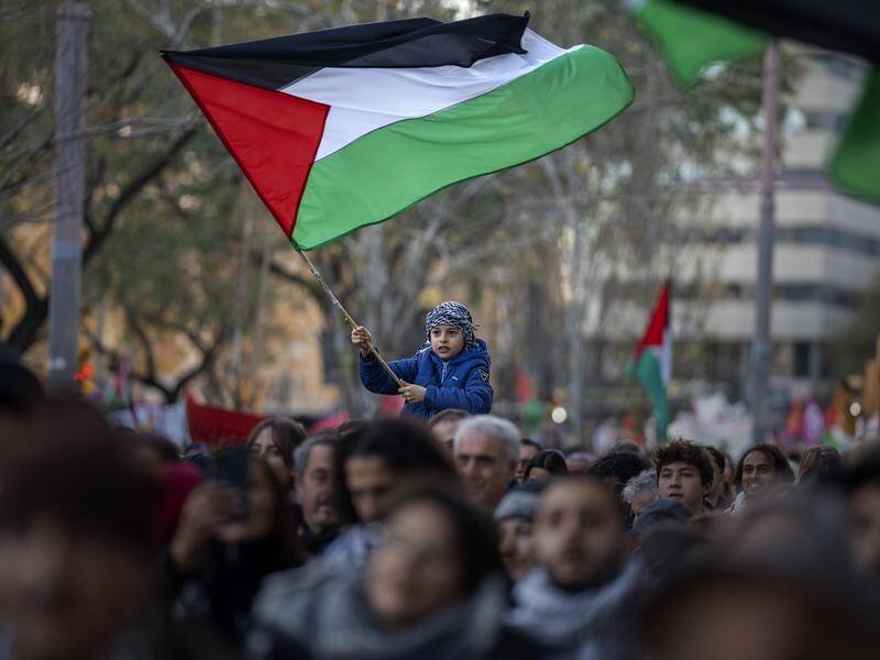 Norway and European Union countries Spain and Ireland will recognise Palestine as a state. (AP PHOTO)