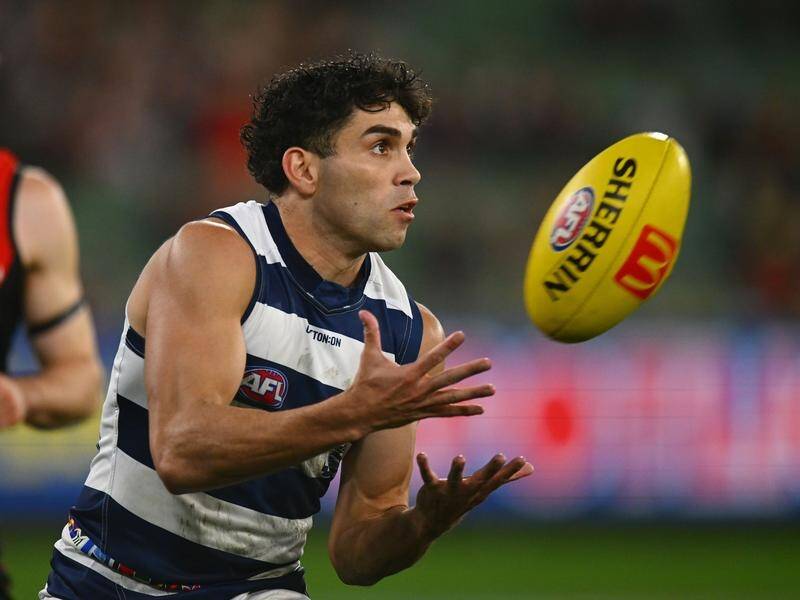 The day after kicking three goals in the win over Essendon, Tyson Stengle has re-signed with Geelong (Morgan Hancock/AAP PHOTOS)