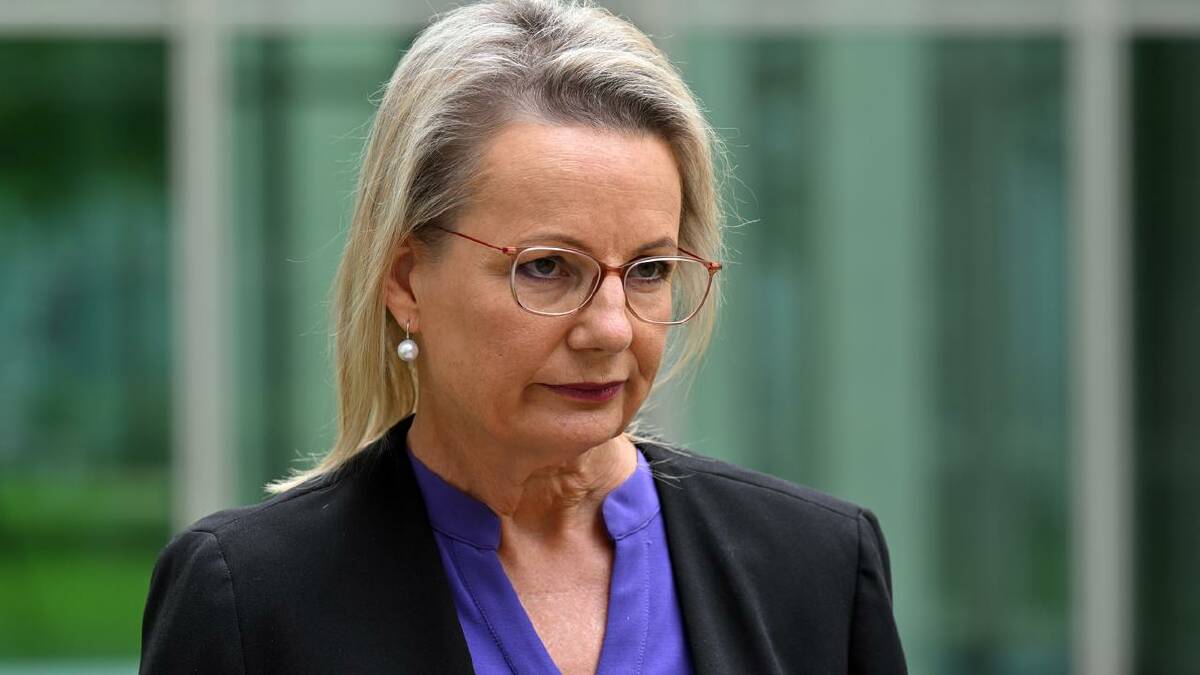 Liberal Sussan Ley says dumped immigration minister Andrew Giles is receiving a "consolation prize". (Mick Tsikas/AAP PHOTOS)