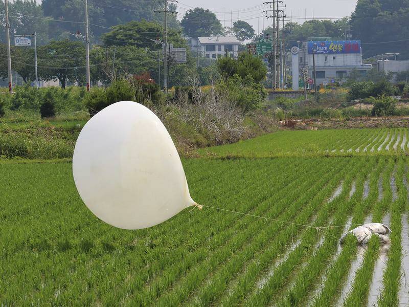 More North Korean balloons suspected to be carrying garbage have been spotted in South Korea. Photo: AP PHOTO