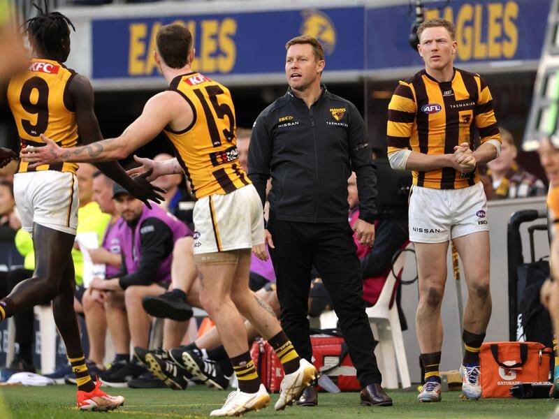 Sam Mitchell's Hawks are one of the AFL's in-form teams, but still sit outside the top eight. (Richard Wainwright/AAP PHOTOS)