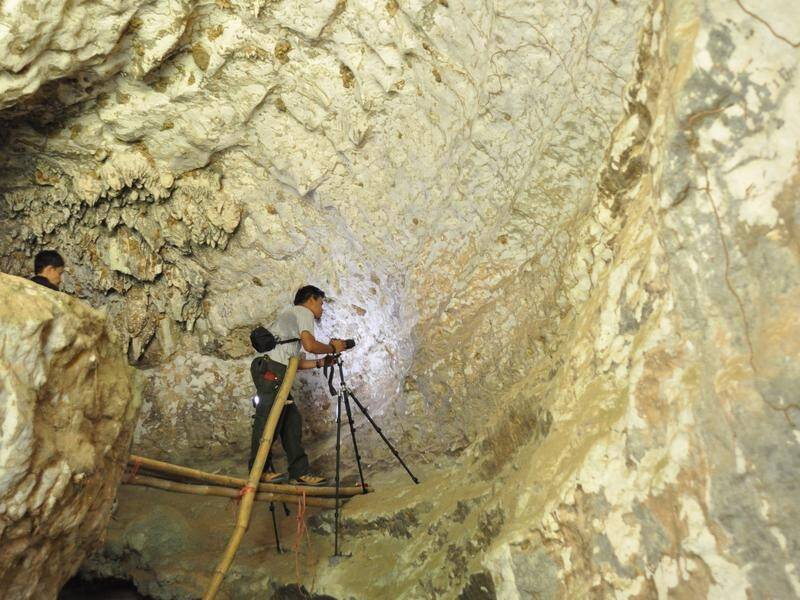 Archaeologists have uncovered a painting in an Indonesian cave believed to be 51,200 years old. (EPA PHOTO)