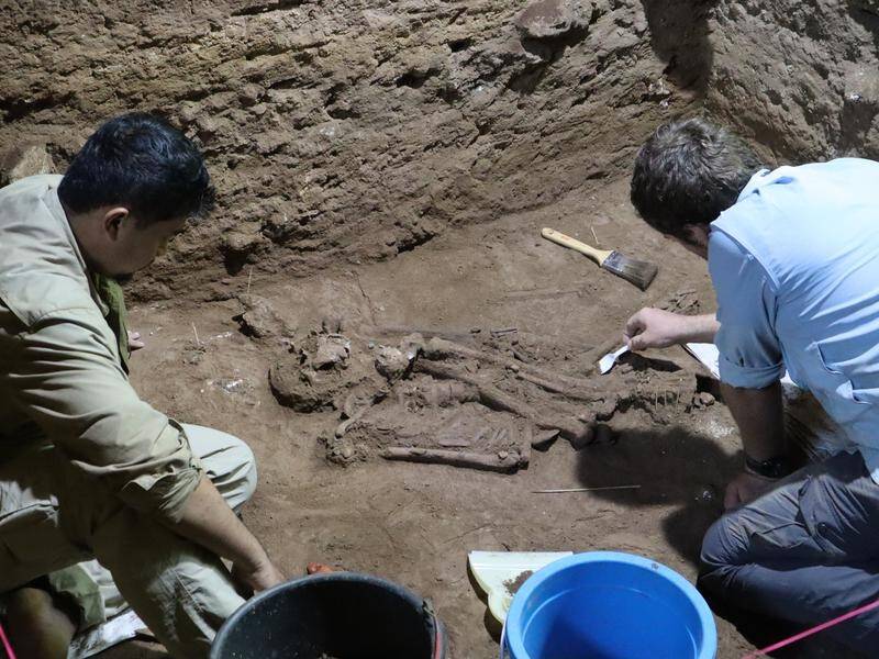 Skeletal remains found on Borneo indicate a successful amputation was carried out 31,000 years ago. (PR HANDOUT IMAGE PHOTO)