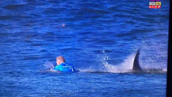 Mick Fanning attacked by shark during surfing competition  
