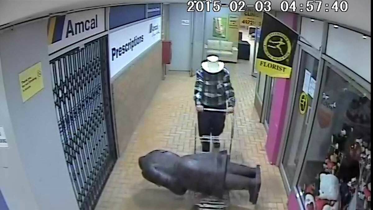 The theft from a Swansea arcade was witnessed by CCTV.