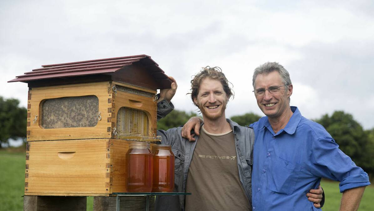 Big buzz for Flow Hive opportunity for honey on tap Newcastle Herald Newcastle, image