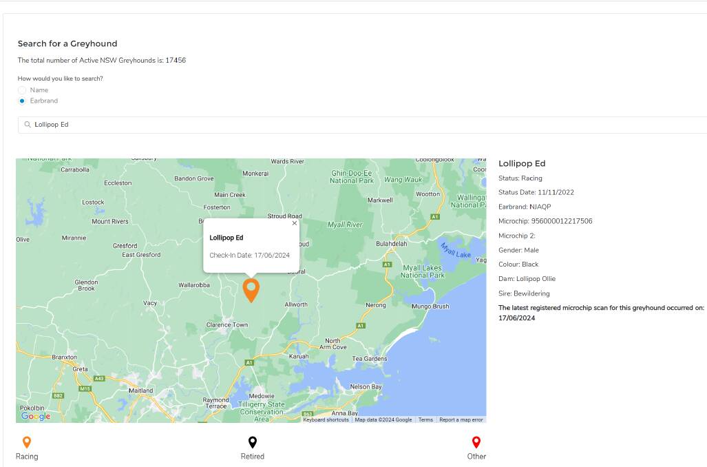 The Greyhound Welfare & Integrity Commission's eTrac public search database, which monitors the location and welfare of greyhounds, shows the "status" of Lollipop Ed as "racing" despite the dog's death on June 17. 