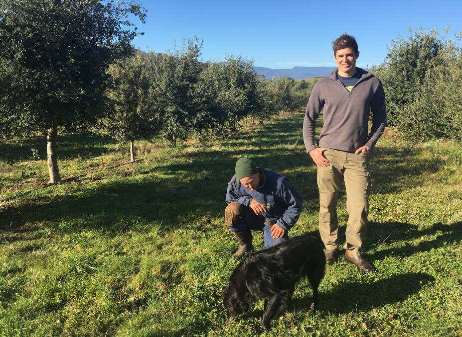 FAME: Tasmanian Truffles owner Henry Terry with truffle hunter Adam Mitchell and truffle dog Fantome. Picture: Caitlin Jarvis.