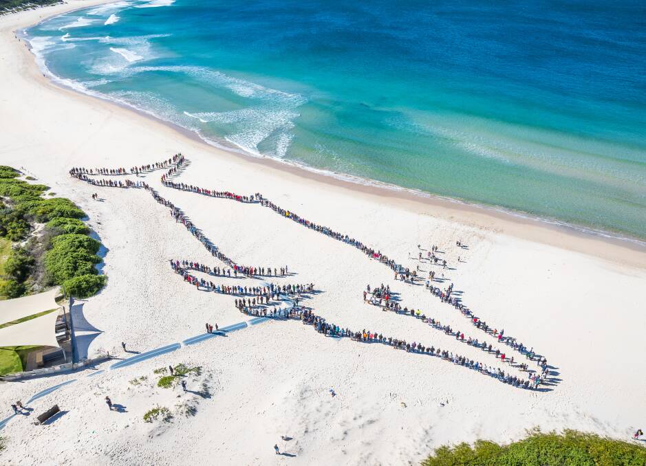 Human whale at Fingal Bay, pictures supplied