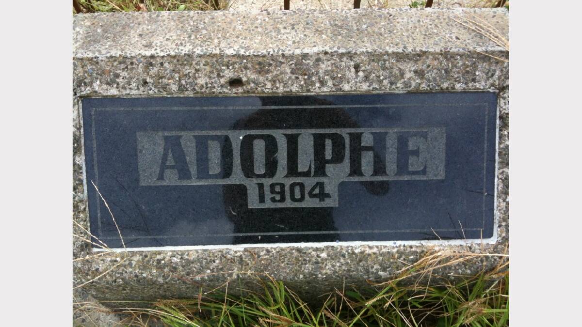 Adolphe, 1804. Picture: Wayne Mullen.
